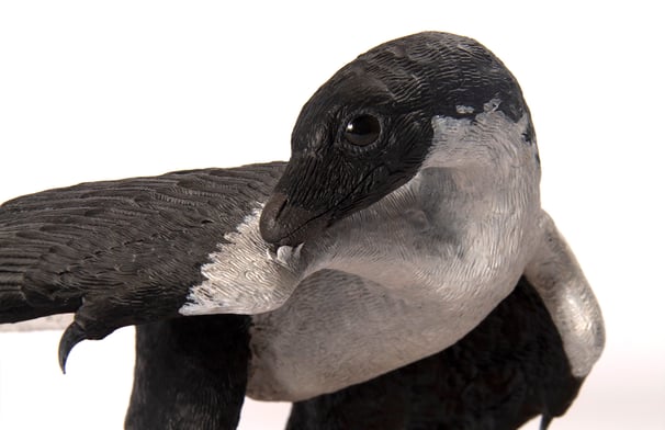 Archaeopteryx 1