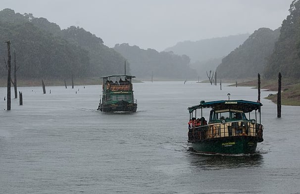 Boat ride on Periyar Lake – wildlife viewing in Kerala’s Periyar Sanctuary South India destination