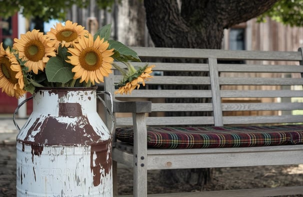 A weathered milk can painted white, filled with blooming sunflowers and placed next to a wooden benc