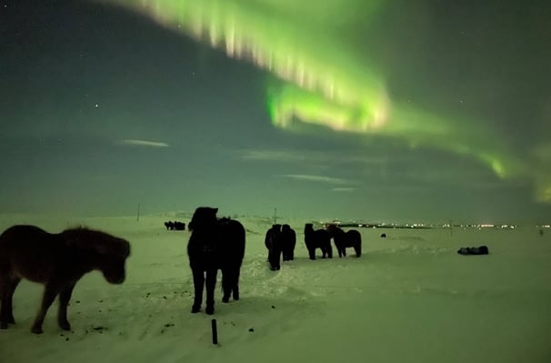 Aurora borealis or  Northern Lights near Selfoss, Iceland