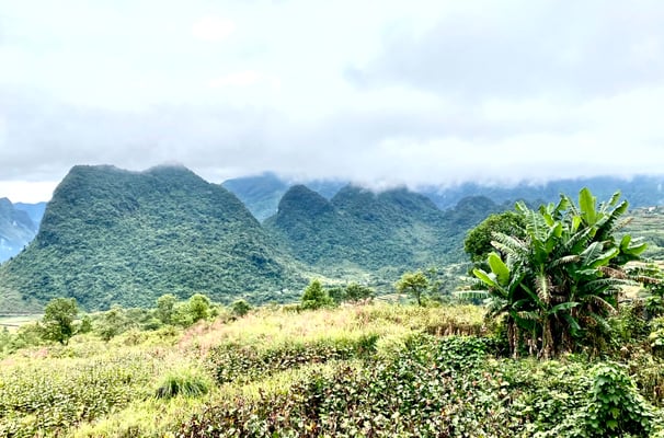 a mountain view of a mountain range with a few trees