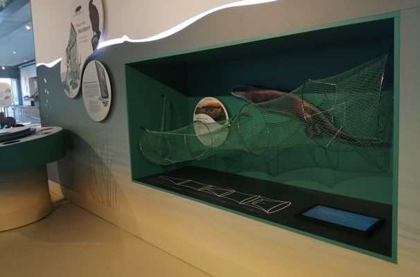 Exponat über die Gefahr von Fischernetzen