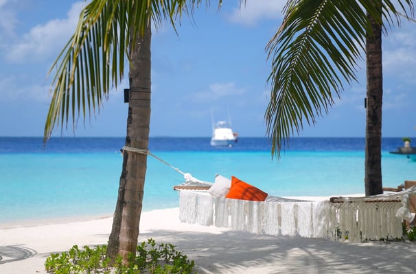 ozen reserve bolifushi beach hammock