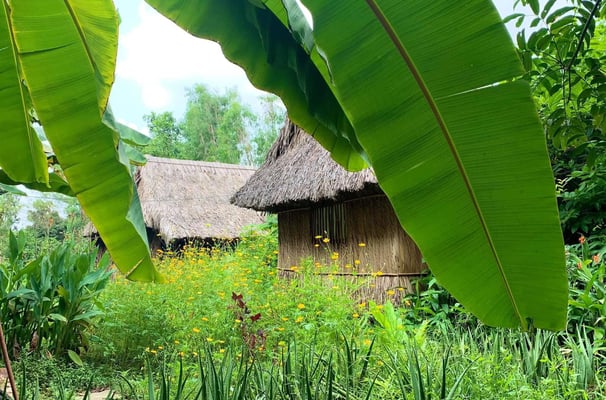 Bamboo house surrounded by blooming wildflowers and banana leaves at Saigon Garden Homestay.