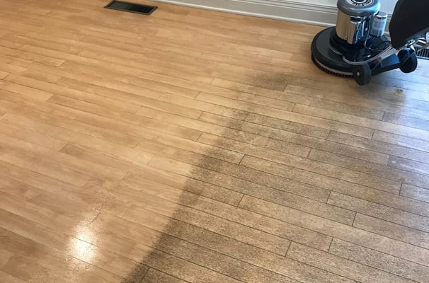 Professional Floor Cleaning in Ormond Beach, Daytona Beach, Port Orange & New Smyrna Beach, FL