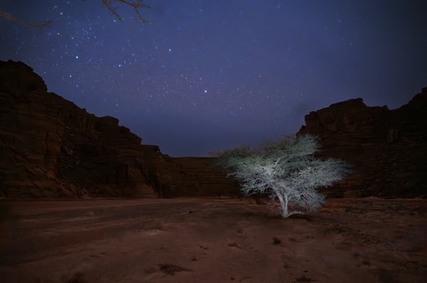 Nightscape, Voie Lactée, Milky Way, Via Lattea, Paysage Etoilé, Starry Landscape, Paesaggio stellato
