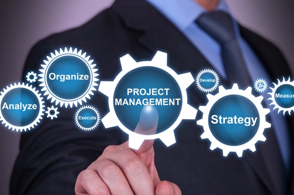 Business professional interacting with a digital interface for project management and deployment strategy
