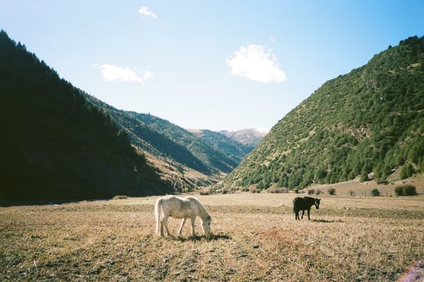 Dzongsar Valley