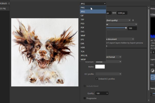 A image of a Springer Spaniel being edited in the photo editing software, Affinity Photo.