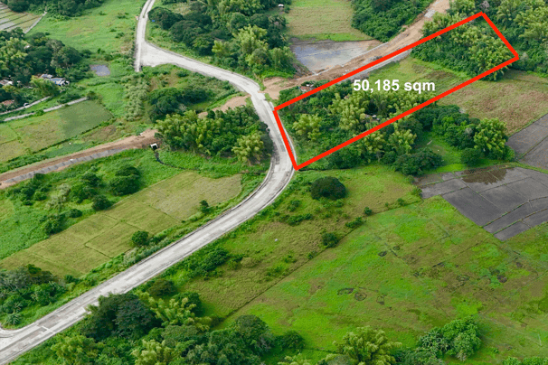 Titled lot along the road for sale near Iloilo Airport and Sta. Barbara Heights