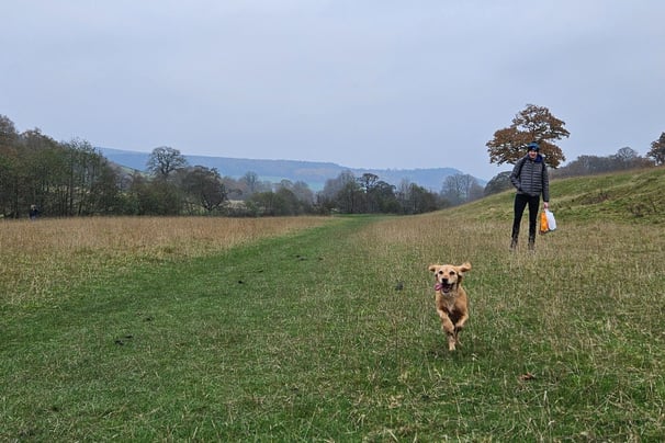 Chatsworth House Walk