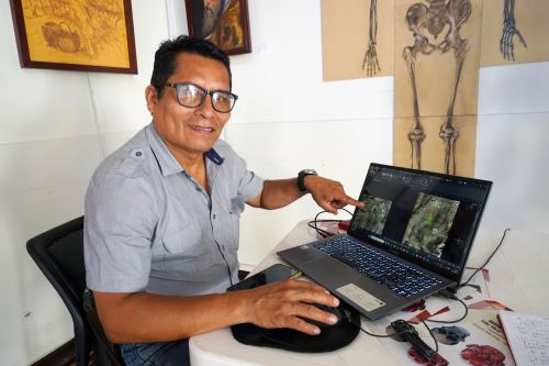 Archaeologists Just Uncovered Enormous Depictions Of Cats Carved Into The Earth In Southern Peru