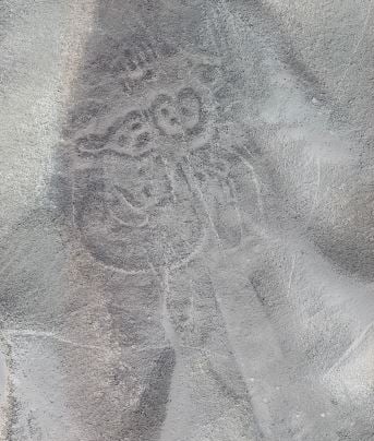Archaeologists Just Uncovered Enormous Depictions Of Cats Carved Into The Earth In Southern Peru