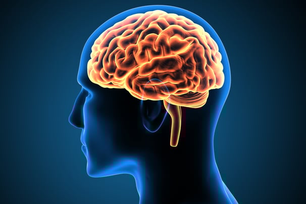 Mind-Blowing and Fun Facts About the Human Brain
