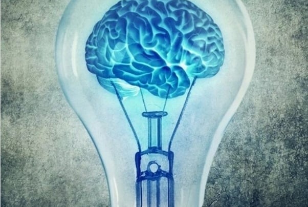 Mind-Blowing and Fun Facts About the Human Brain