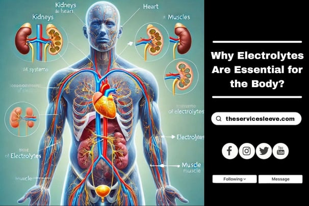 Why Electrolytes are Essential? | Get Your Protective Water Container Sleeve Today | Stay Hydrated