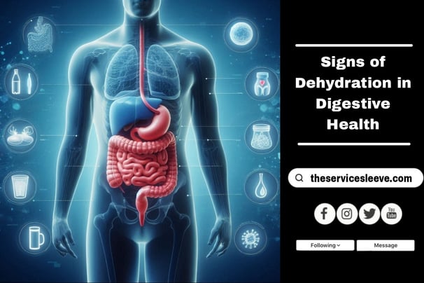 Dehydration in Digestive Health |Stay Hydrated! Purchase Your Protective Water Container Sleeve Here