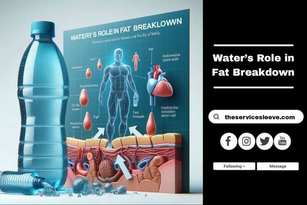  Fat Breakdown through Hydration Process | Purchase Your Water Container Sleeve Here