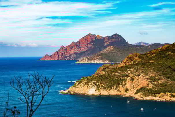 Corsica coast coves calanques wild dramatic