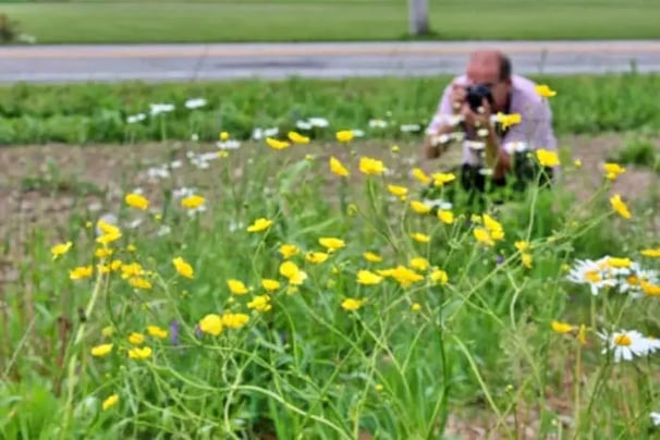 Photographe au travail dans les fleurs