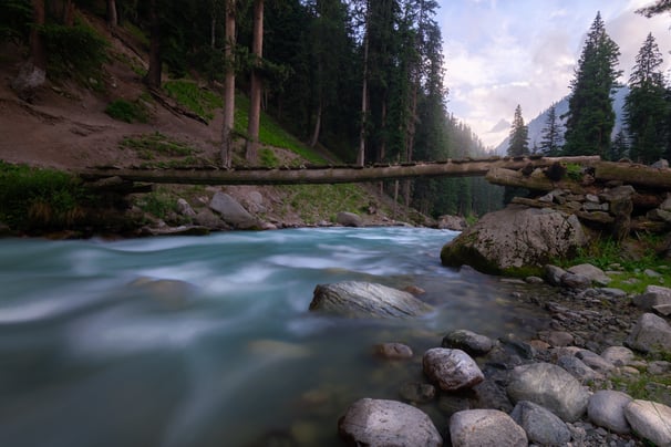 a log bridge over a river with rocks and trees