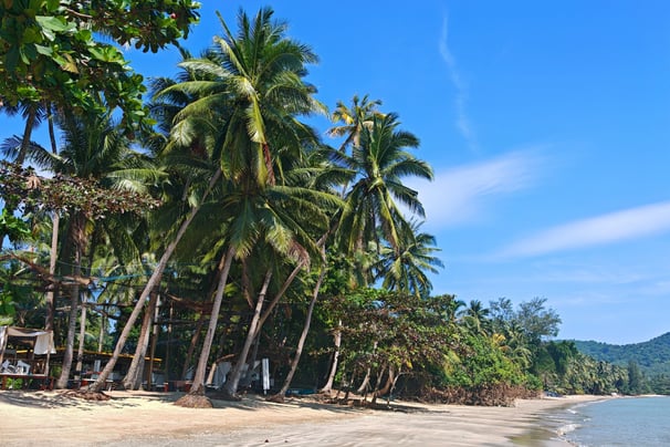 To the moon, Thung Makham Chumphon