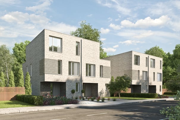 Kozijnen en deuren hele woning