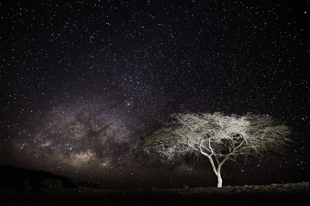 Nightscape, Voie Lactée, Milky Way, Via Lattea, Paysage Etoilé, Starry Landscape, Paesaggio stellato