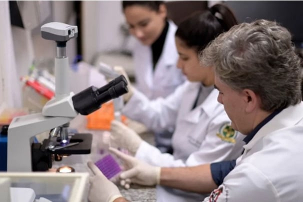 Pesquisadores da UFMG estudando a Calixcoca