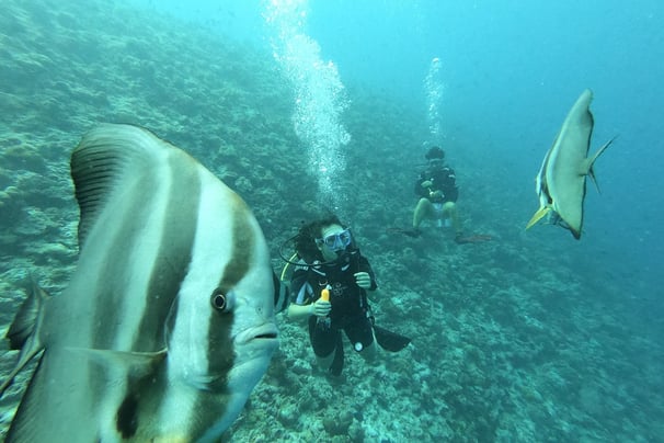 Maldives diving by Ruben Galante