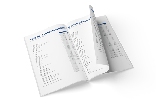 Annual report, typesetting by Michelle Pirovich, Squeezebox