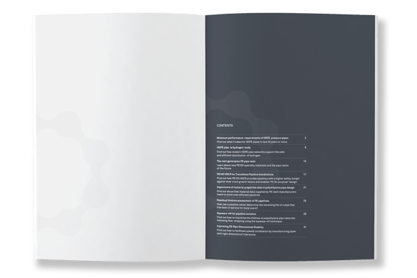 Qenos white papers, typesetting by Michelle Pirovich, Squeezebox