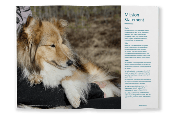 CannPal Annual Report, typesetting by Michelle Pirovich, Squeezebox