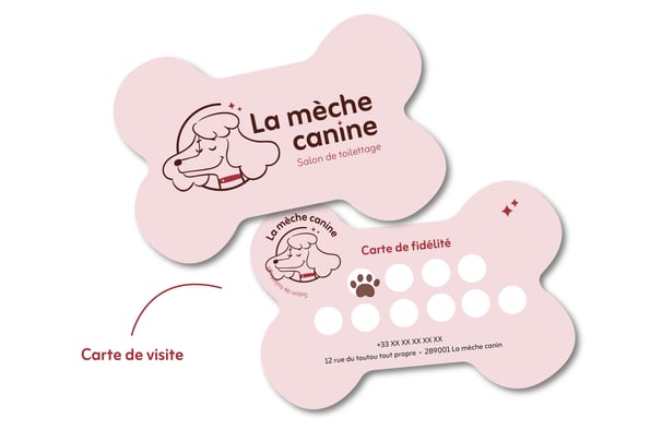 Qu'est-ce qu'une identité visuelle-La mèche canine-carte de visite-Amy blog graphique