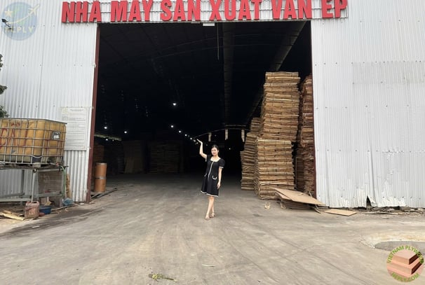 HCPLY vision – leading global plywood exports with innovation, sustainability, and Vietnamese expert