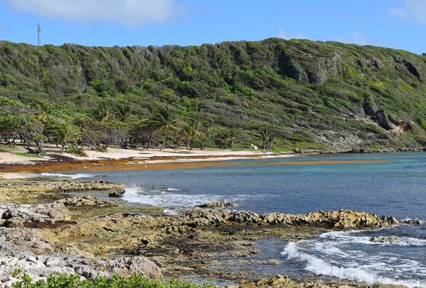 Voyage France Guadeloupe Anse Marguerite