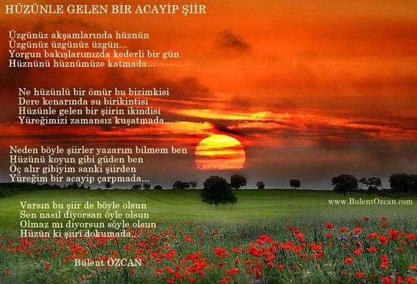 Hüzünle Gelen Bir Acayip Şiir, Şiir, Bülent Özcan