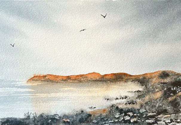 hav, strand och fåglar