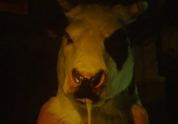 Cow head scene in the movie Gozu