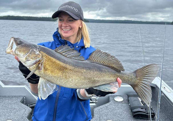 Memorable Swedish fishing achievement: personal record catch, a zander.