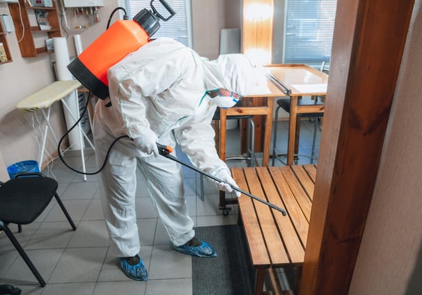 mold removal chandler az