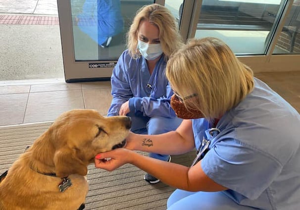 Buddy the Therapy dog is loved by two nurses at Tennova Healthcare.