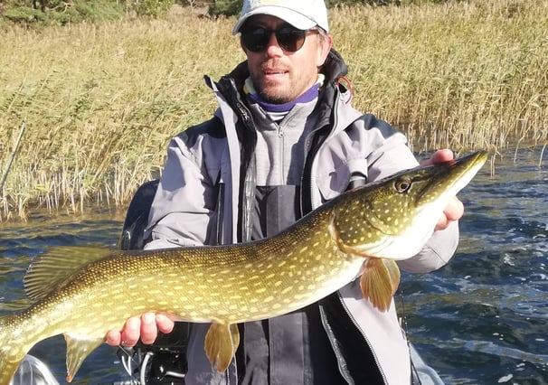 un pêcheur tient un brochet en suède, il pêche le brochet avec fishing escape sweden.