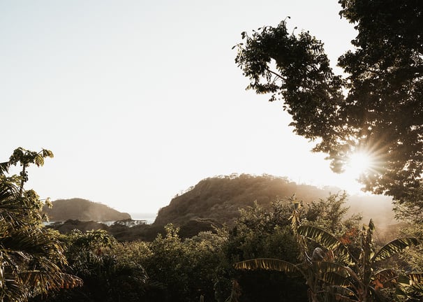 sunset overlooking tropical garden