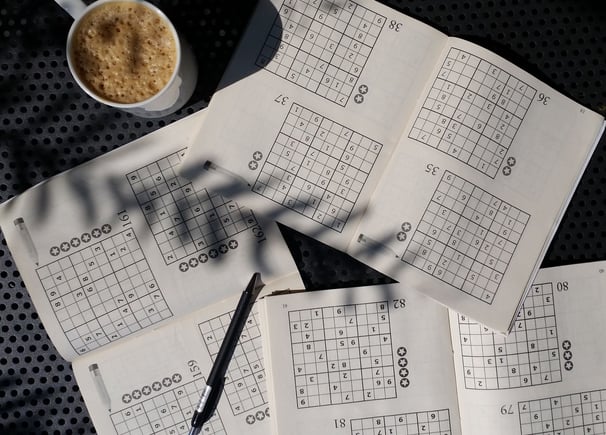 Sudoku puzzles large print