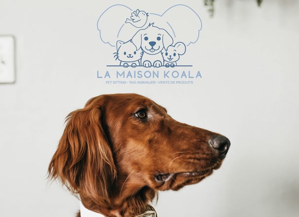 Logo principal pour La Maison Koala