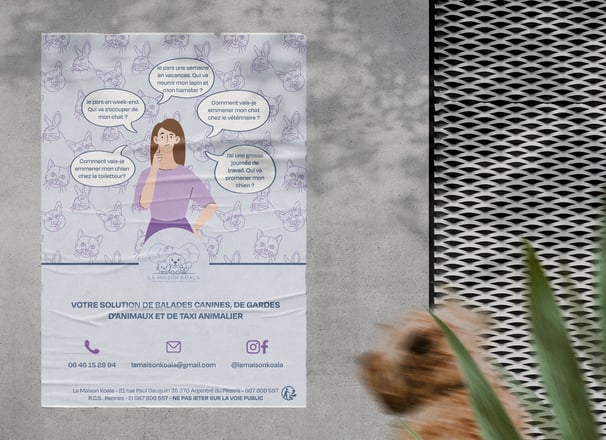 Affiche informatif pour la maison koala