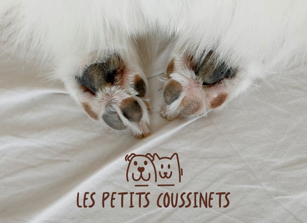 Logo principal - Les Petits Coussinets
