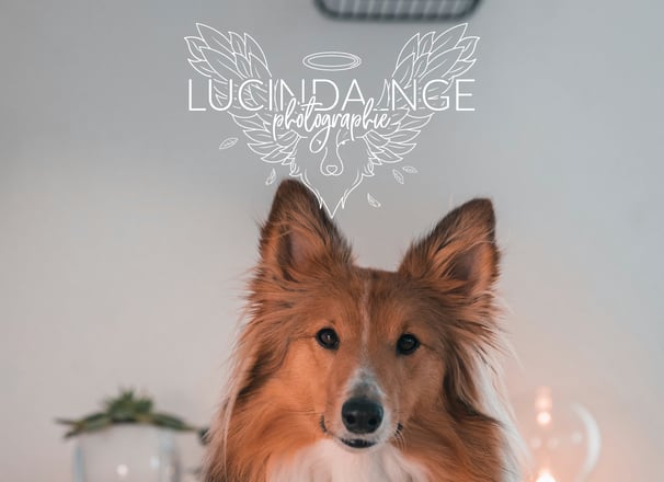 logo signature en blanc