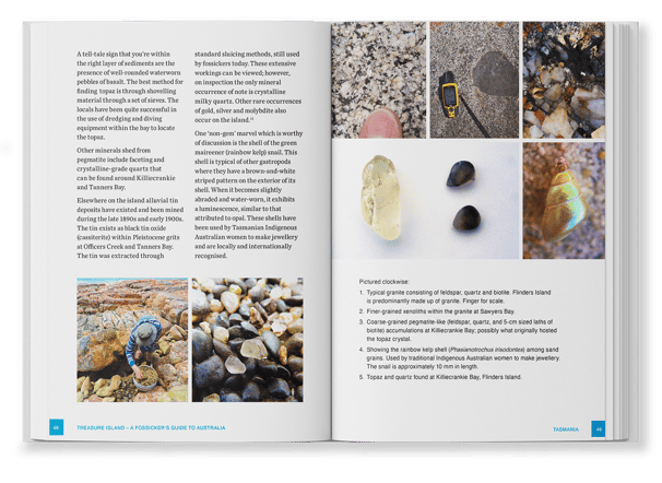 Treasure Island, Books, typesetting by Michelle Pirovich, Squeezebox